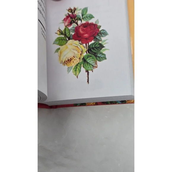 A Time for Love Not so Itty bitty books Hardcover By Nelson New Gift book 1994 - Picture 6 of 7